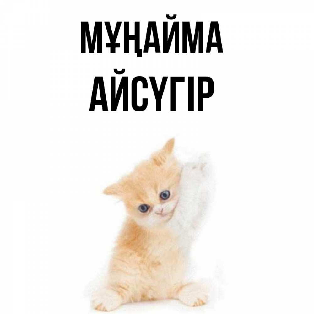 Күн сайын ашық хат с именем, Айсүгір Мұңайма просящий кот Онлайн тегін жүктеп алу тілектері бар керемет карта 