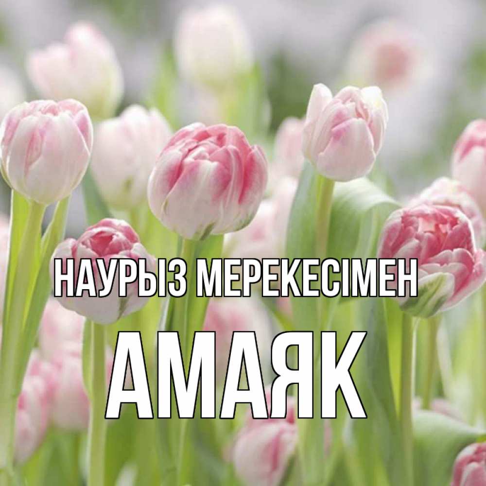 Күн сайын ашық хат с именем, Амаяк Наурыз мерекесімен цветы Онлайн тегін жүктеп алу тілектері бар керемет карта 