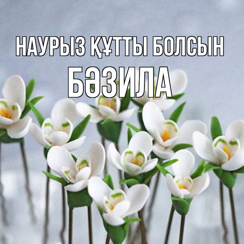 Күн сайын ашық хат с именем, БӘЗИЛА Наурыз құтты болсын весенние цветы Онлайн тегін жүктеп алу тілектері бар керемет карта 