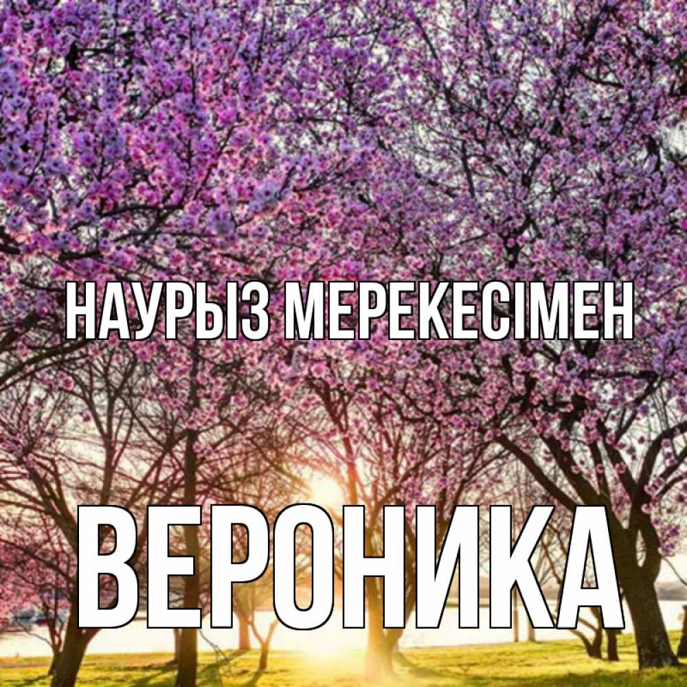 Күн сайын ашық хат с именем, Вероника Наурыз мерекесімен праздник весны наурыз Онлайн тегін жүктеп алу тілектері бар керемет карта 