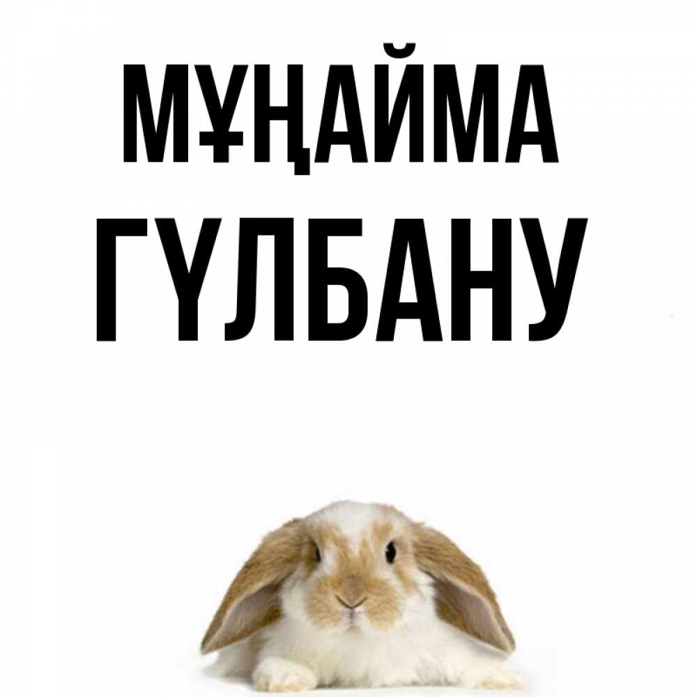 Күн сайын ашық хат с именем, ГҮЛБАНУ Мұңайма коричнево белый заяц с большими ушками Онлайн тегін жүктеп алу тілектері бар керемет карта 