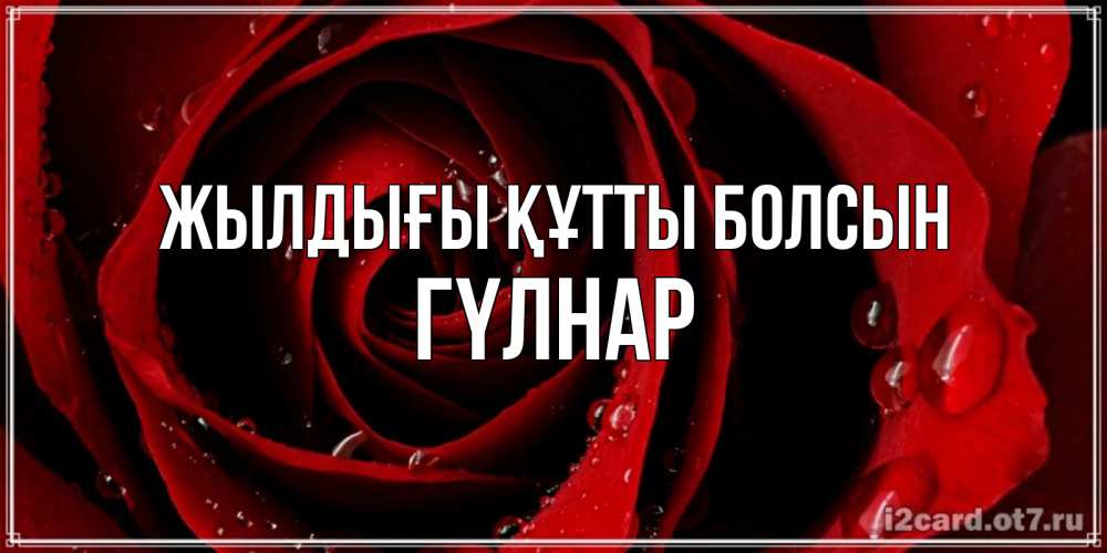 Күн сайын ашық хат с именем, ГҮЛНАР Жылдығы құтты болсын крупная бордовая роза Онлайн тегін жүктеп алу тілектері бар керемет карта 