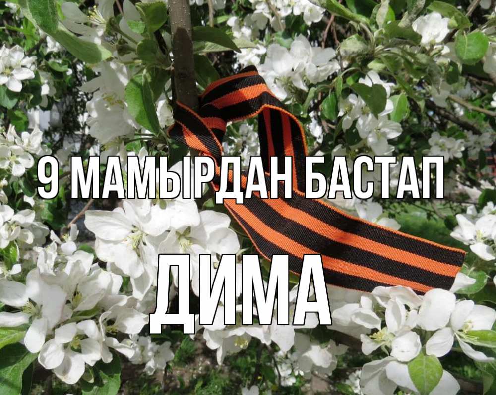 Күн сайын ашық хат с именем, Дима 9 мамырдан бастап 9 мая Онлайн тегін жүктеп алу тілектері бар керемет карта 