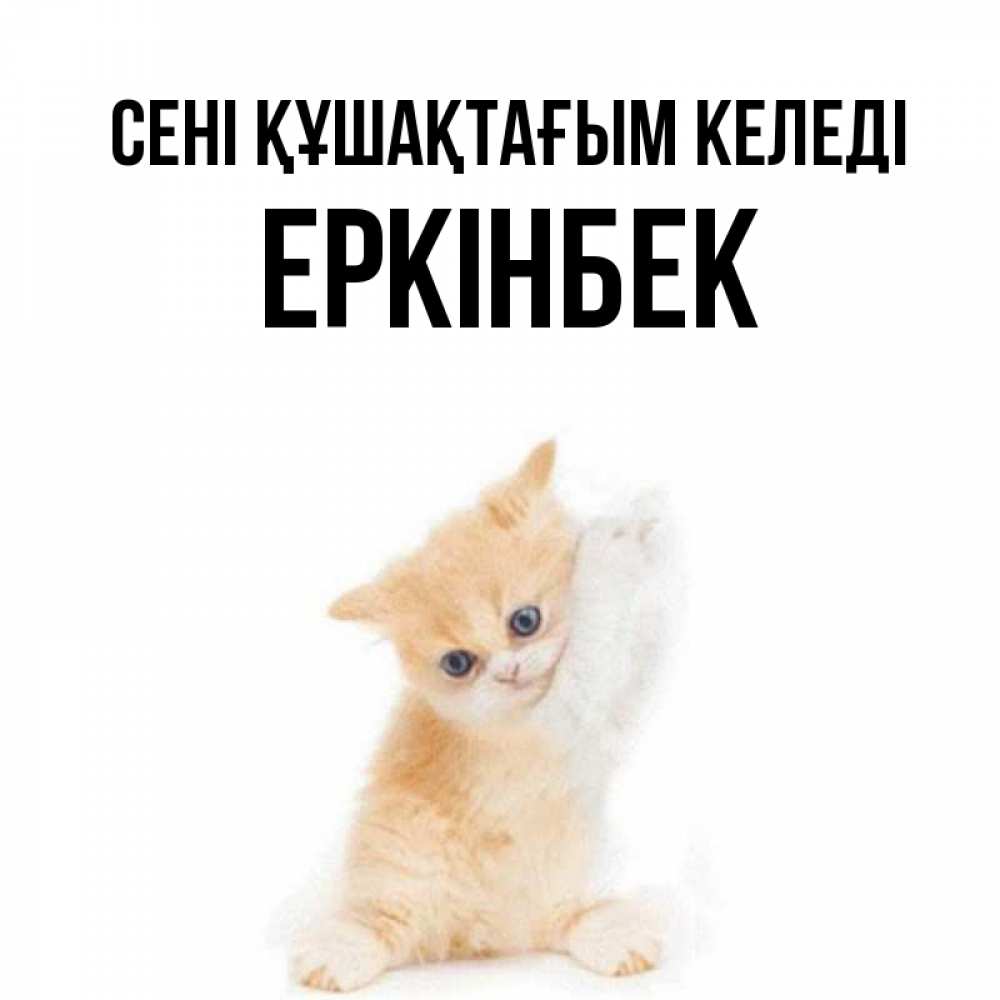 Күн сайын ашық хат с именем, Еркінбек сені құшақтағым келеді я хочу очень скорее обнимаешек Онлайн тегін жүктеп алу тілектері бар керемет карта 