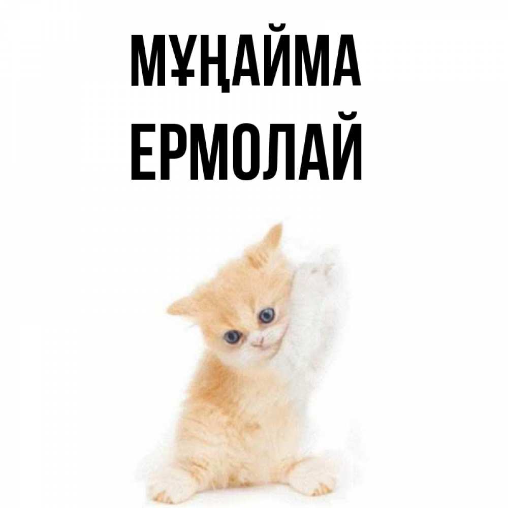 Күн сайын ашық хат с именем, Ермолай Мұңайма просящий кот Онлайн тегін жүктеп алу тілектері бар керемет карта 