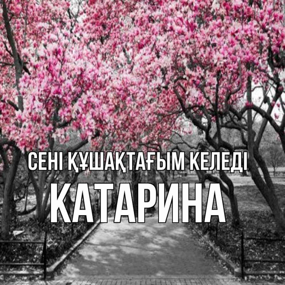 Күн сайын ашық хат с именем, Катарина сені құшақтағым келеді обработанное фото Онлайн тегін жүктеп алу тілектері бар керемет карта 