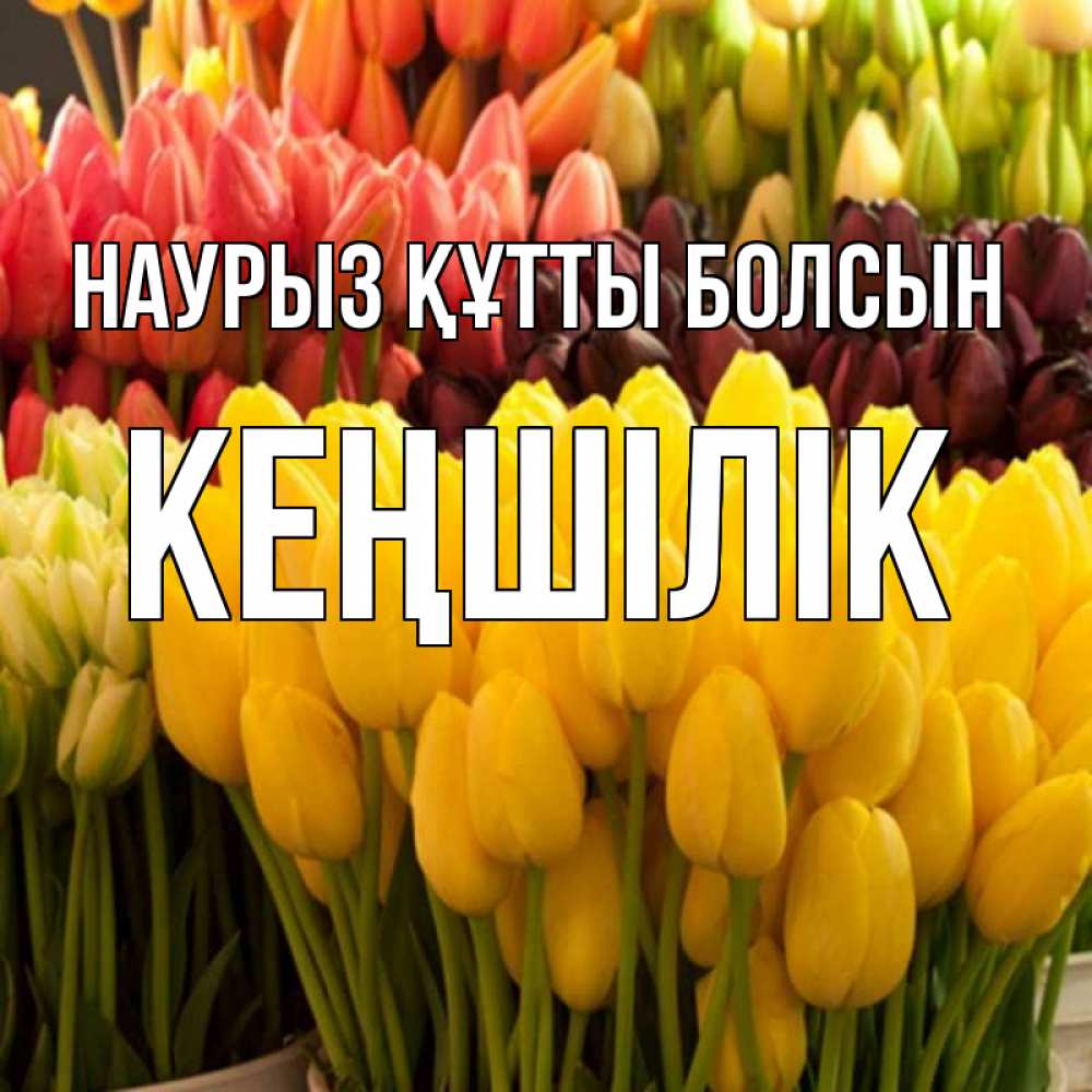 Күн сайын ашық хат с именем, Кеңшілік Наурыз құтты болсын цветы Онлайн тегін жүктеп алу тілектері бар керемет карта 