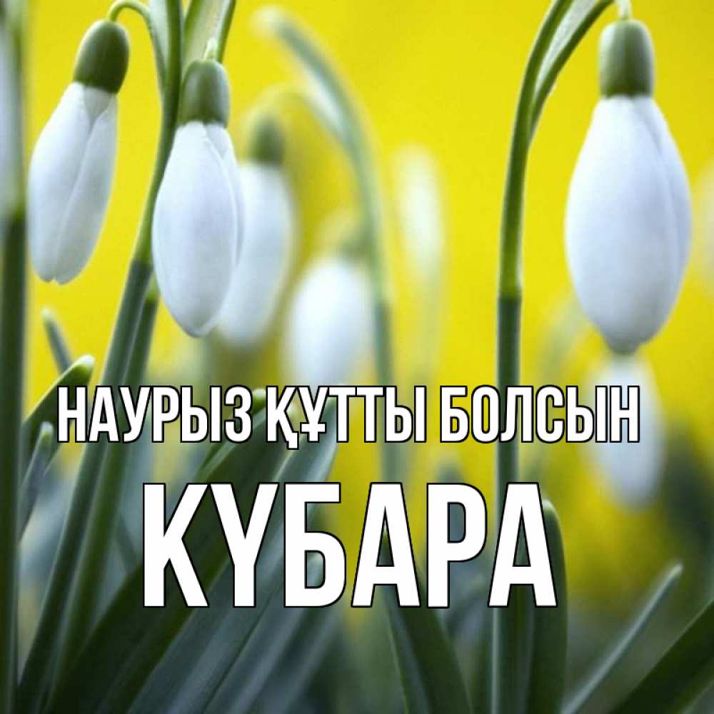 Күн сайын ашық хат с именем, КҮБАРА Наурыз құтты болсын весенние цветы Онлайн тегін жүктеп алу тілектері бар керемет карта 