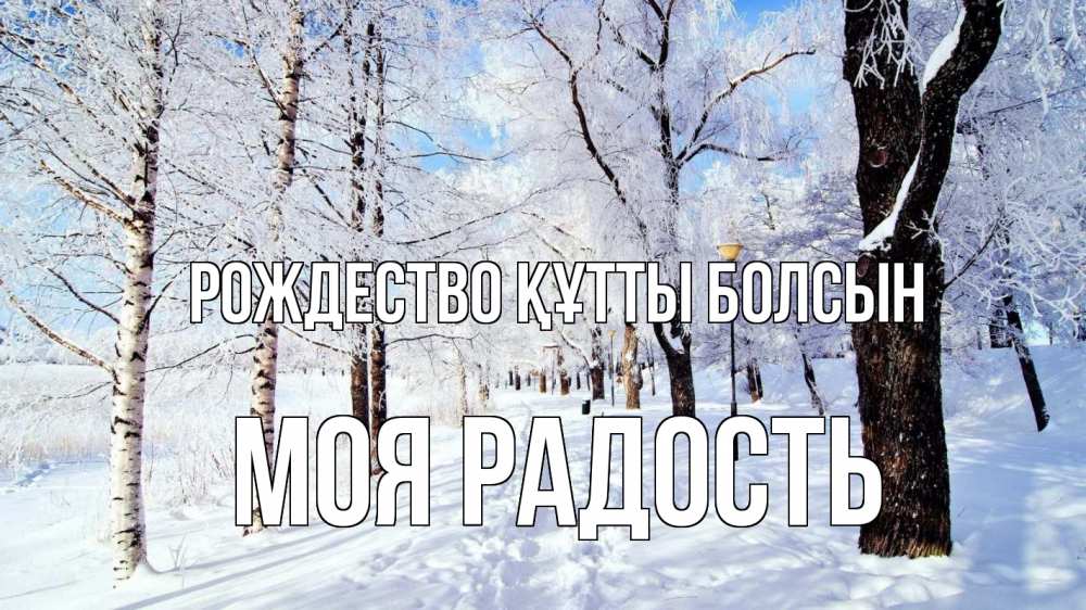 Күн сайын ашық хат с именем, Моя-радость Рождество құтты болсын зимний лес Онлайн тегін жүктеп алу тілектері бар керемет карта 