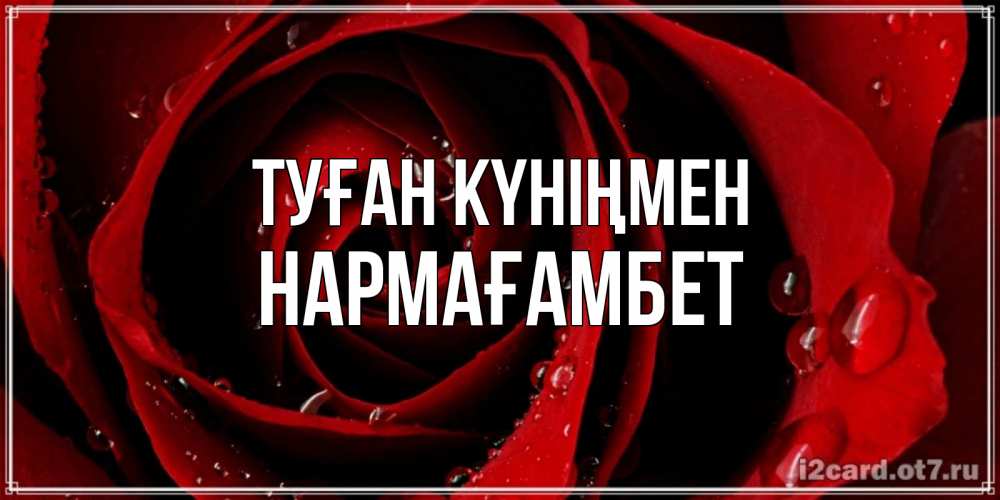 Күн сайын ашық хат с именем, НАРМАҒАМБЕТ Туған күніңмен крупная бордовая роза Онлайн тегін жүктеп алу тілектері бар керемет карта 