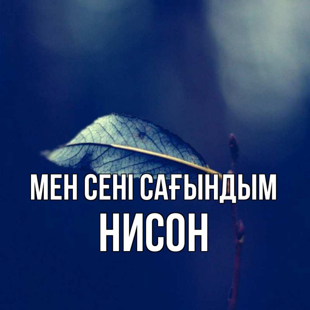 Күн сайын ашық хат с именем, Нисон Мен сені сағындым одна ветка 1 Онлайн тегін жүктеп алу тілектері бар керемет карта 