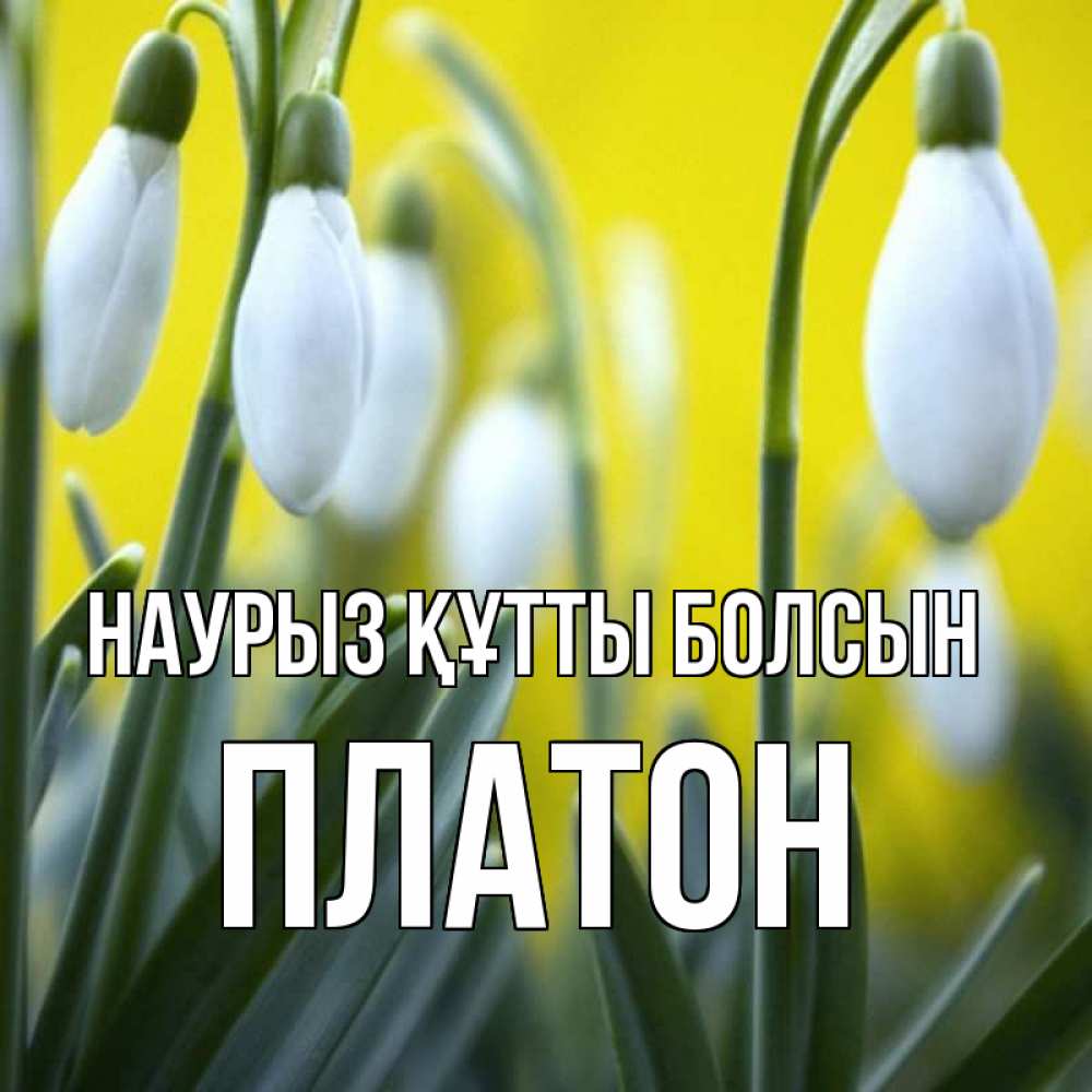 Күн сайын ашық хат с именем, Платон Наурыз құтты болсын весенние цветы Онлайн тегін жүктеп алу тілектері бар керемет карта 