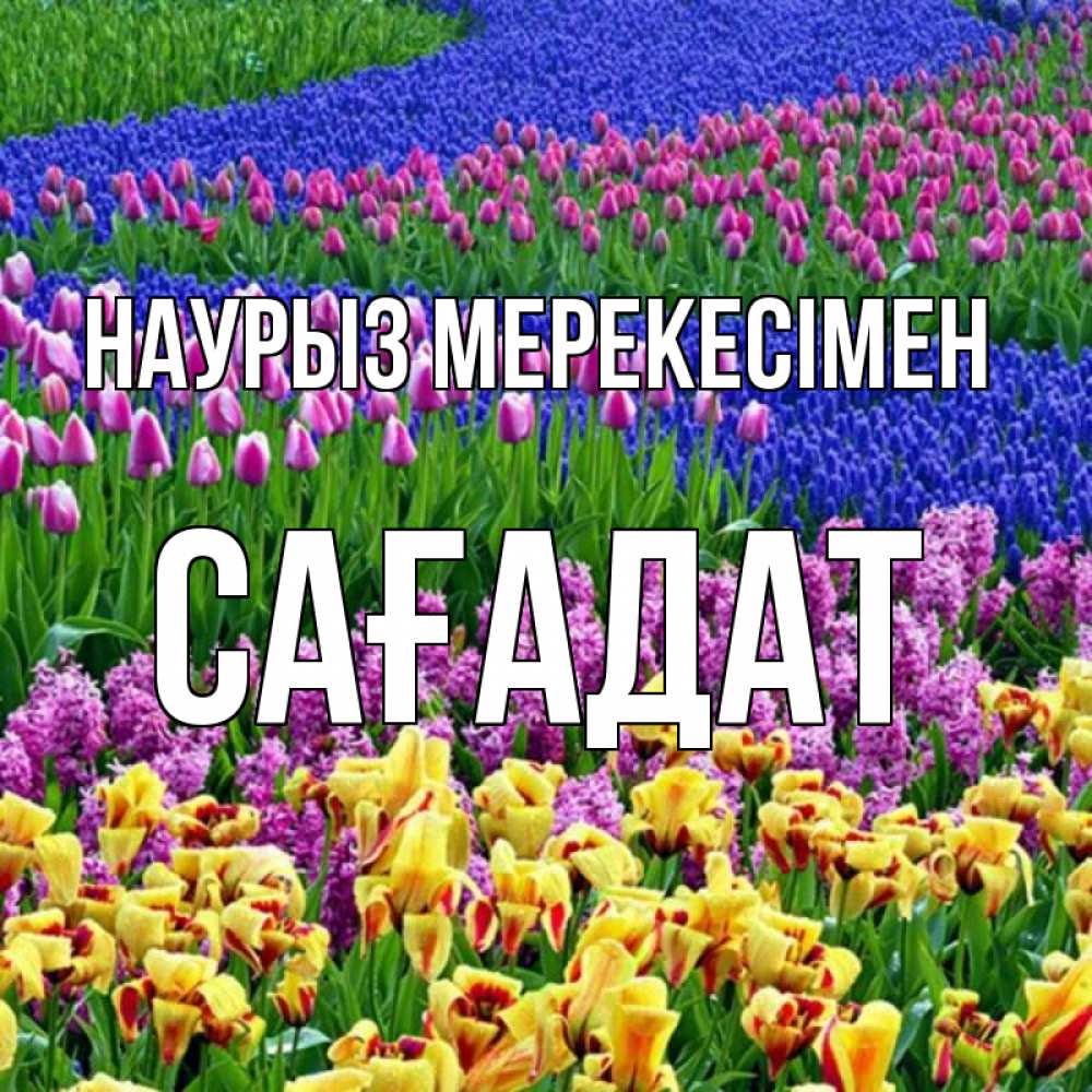 Күн сайын ашық хат с именем, САҒАДАТ Наурыз мерекесімен цветы Онлайн тегін жүктеп алу тілектері бар керемет карта 