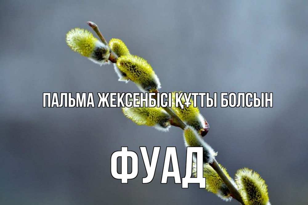 Күн сайын ашық хат с именем, Фуад Пальма жексенбісі құтты болсын верба Онлайн тегін жүктеп алу тілектері бар керемет карта 