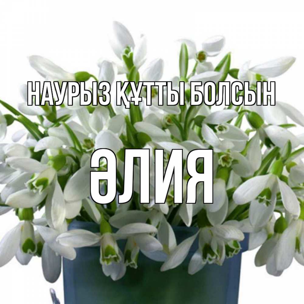 Күн сайын ашық хат с именем, ӘЛИЯ Наурыз құтты болсын цветы к наурызу Онлайн тегін жүктеп алу тілектері бар керемет карта 