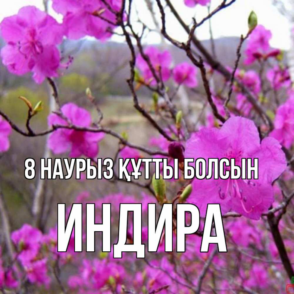 Күн сайын ашық хат с именем, ИНДИРА 8 наурыз құтты болсын международный женский день Онлайн тегін жүктеп алу тілектері бар керемет карта 
