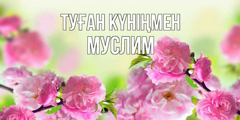 Күн сайын ашық хат с именем, Муслим Туған күніңмен веточки с цветками Онлайн тегін жүктеп алу тілектері бар керемет карта 