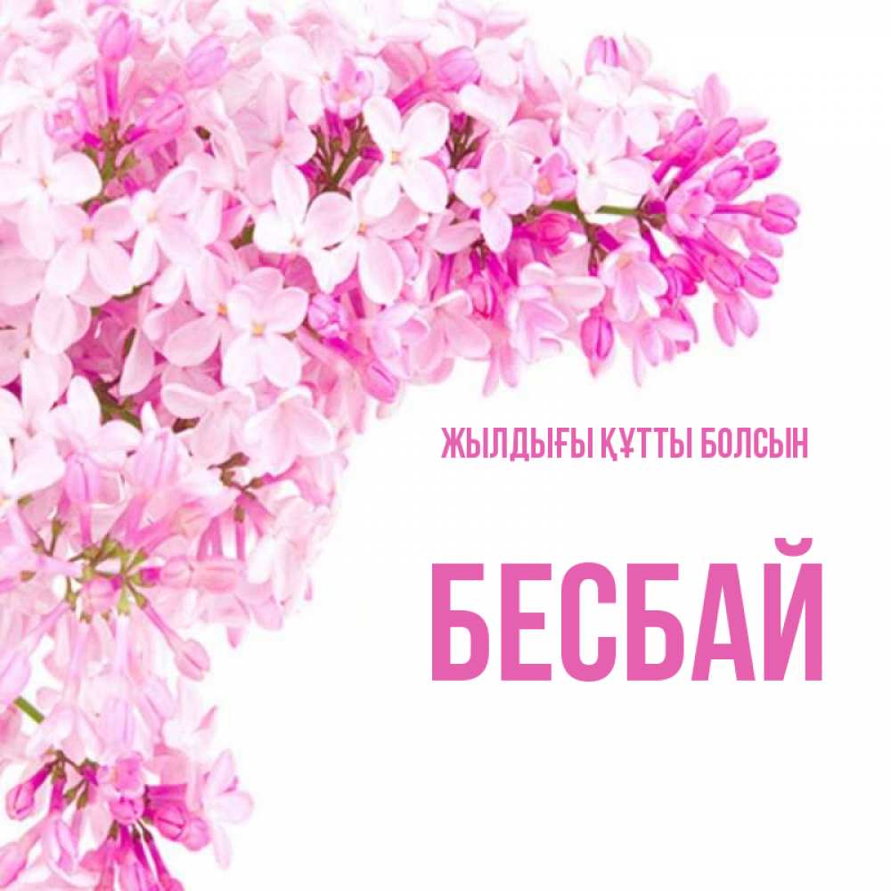 Күн сайын ашық хат с именем, Бесбай Жылдығы құтты болсын Сирень на белом фоне Онлайн тегін жүктеп алу тілектері бар керемет карта 