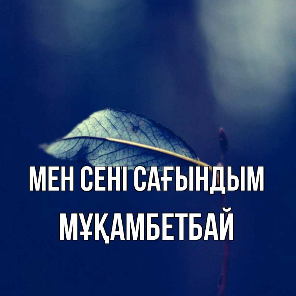 Күн сайын ашық хат с именем, Мұқамбетбай Мен сені сағындым одна ветка 1 Онлайн тегін жүктеп алу тілектері бар керемет карта 