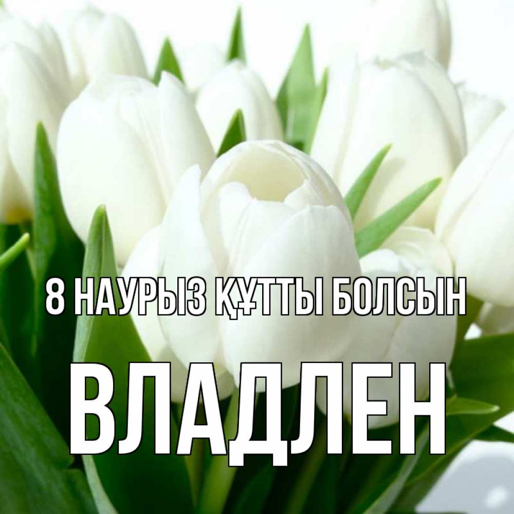 Күн сайын ашық хат с именем, Владлен 8 наурыз құтты болсын цветы Онлайн тегін жүктеп алу тілектері бар керемет карта 