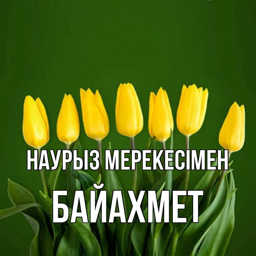 Күн сайын ашық хат с именем, Байахмет Наурыз мерекесімен желтого цвета 3 Онлайн тегін жүктеп алу тілектері бар керемет карта 