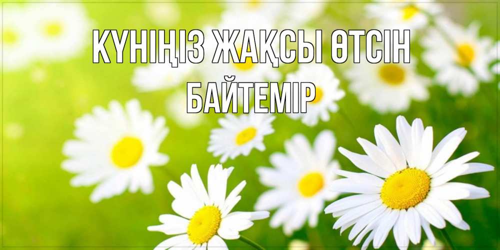 Күн сайын ашық хат с именем, Байтемір Күніңіз жақсы өтсін открытка с ромашками на зеленом фоне Онлайн тегін жүктеп алу тілектері бар керемет карта 