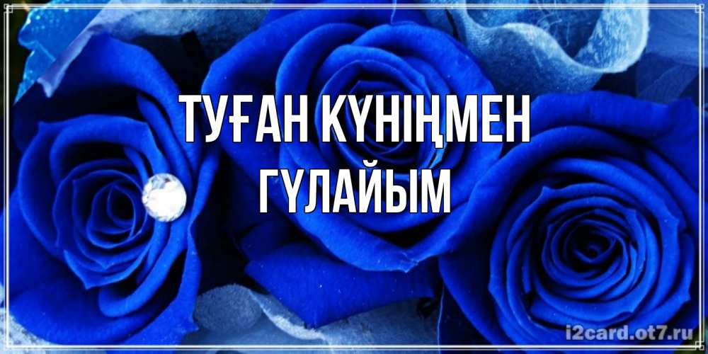 Күн сайын ашық хат с именем, ГҮЛАЙЫМ Туған күніңмен синие розы в росе Онлайн тегін жүктеп алу тілектері бар керемет карта 