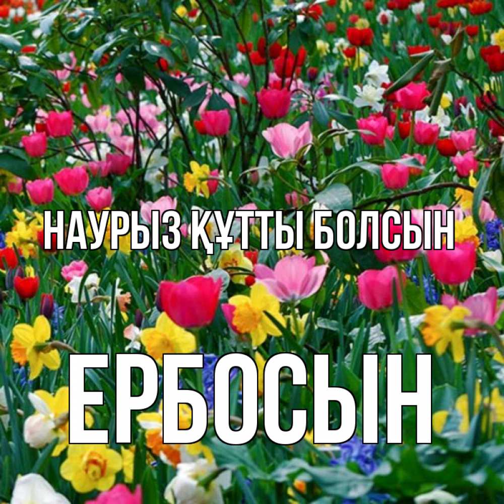 Күн сайын ашық хат с именем, Ербосын Наурыз құтты болсын с наурызом поздравления для женщины Онлайн тегін жүктеп алу тілектері бар керемет карта 