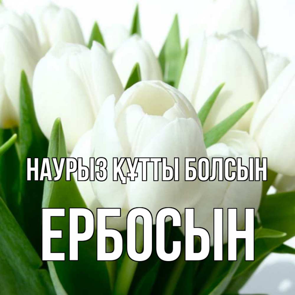 Күн сайын ашық хат с именем, Ербосын Наурыз құтты болсын цветы Онлайн тегін жүктеп алу тілектері бар керемет карта 