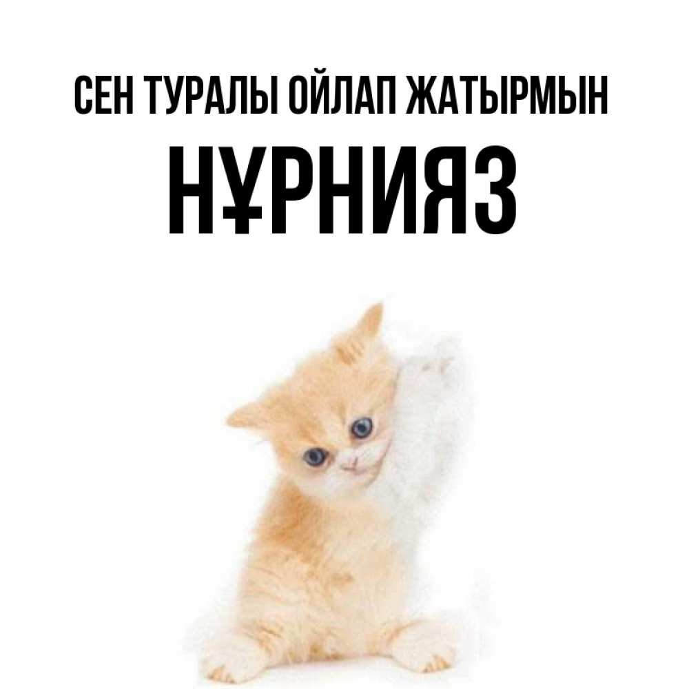 Күн сайын ашық хат с именем, НҰРНИЯЗ Сен туралы ойлап жатырмын зверушки и милота Онлайн тегін жүктеп алу тілектері бар керемет карта 