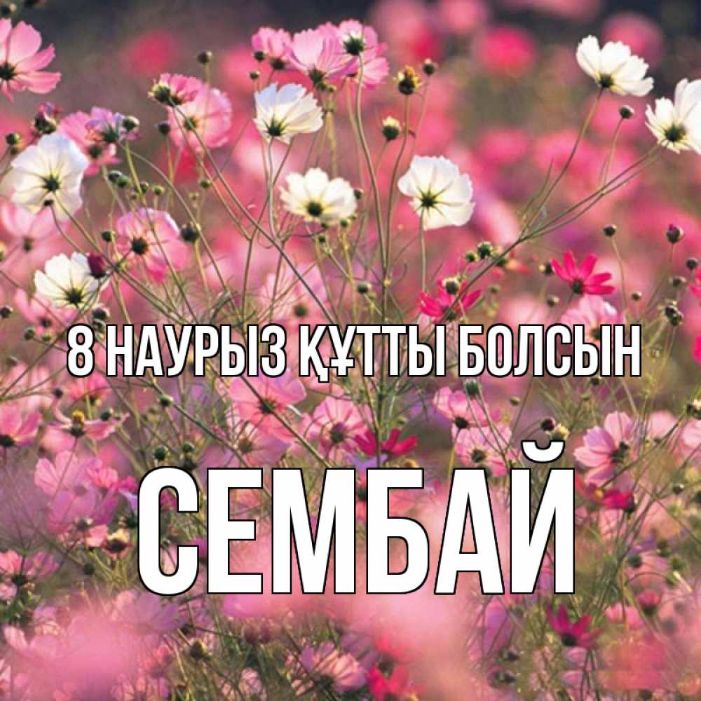 Күн сайын ашық хат с именем, СЕМБАЙ 8 наурыз құтты болсын красиво 1 Онлайн тегін жүктеп алу тілектері бар керемет карта 