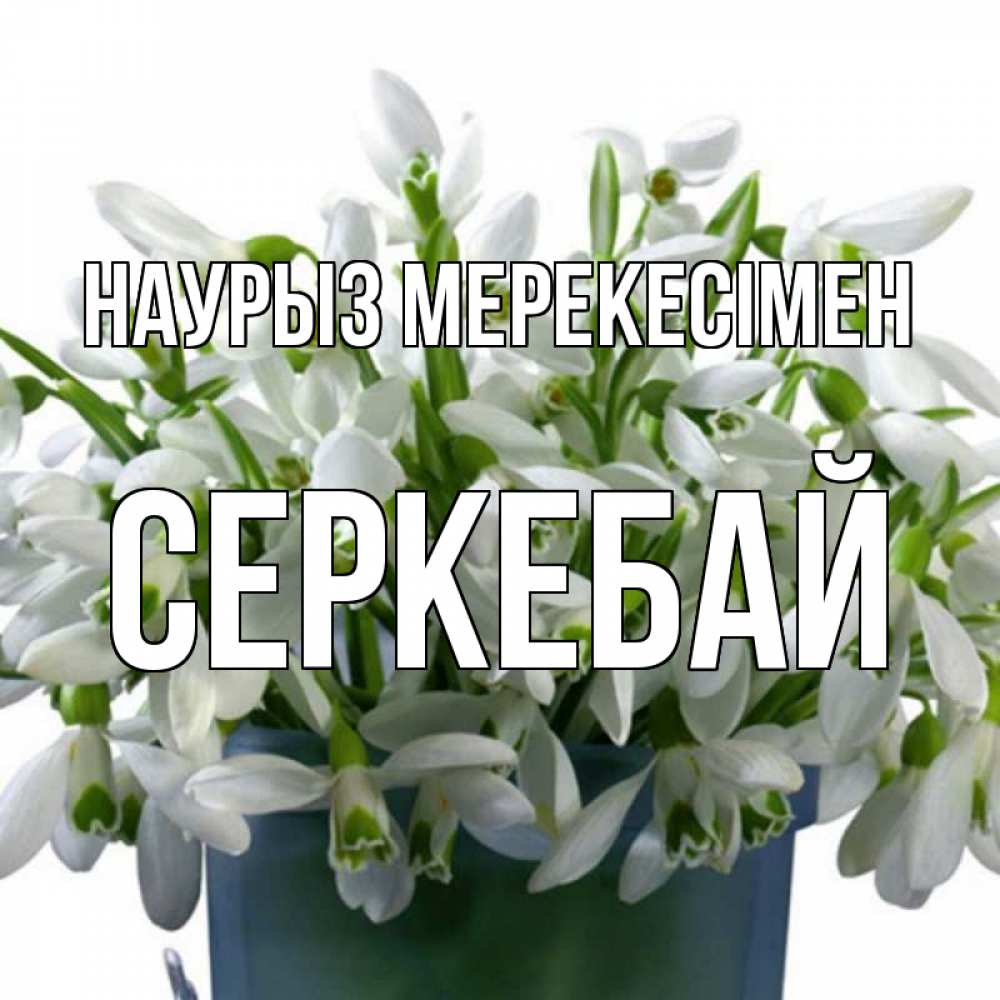 Күн сайын ашық хат с именем, СЕРКЕБАЙ Наурыз мерекесімен цветы к наурызу новый год в Казахстане Онлайн тегін жүктеп алу тілектері бар керемет карта 