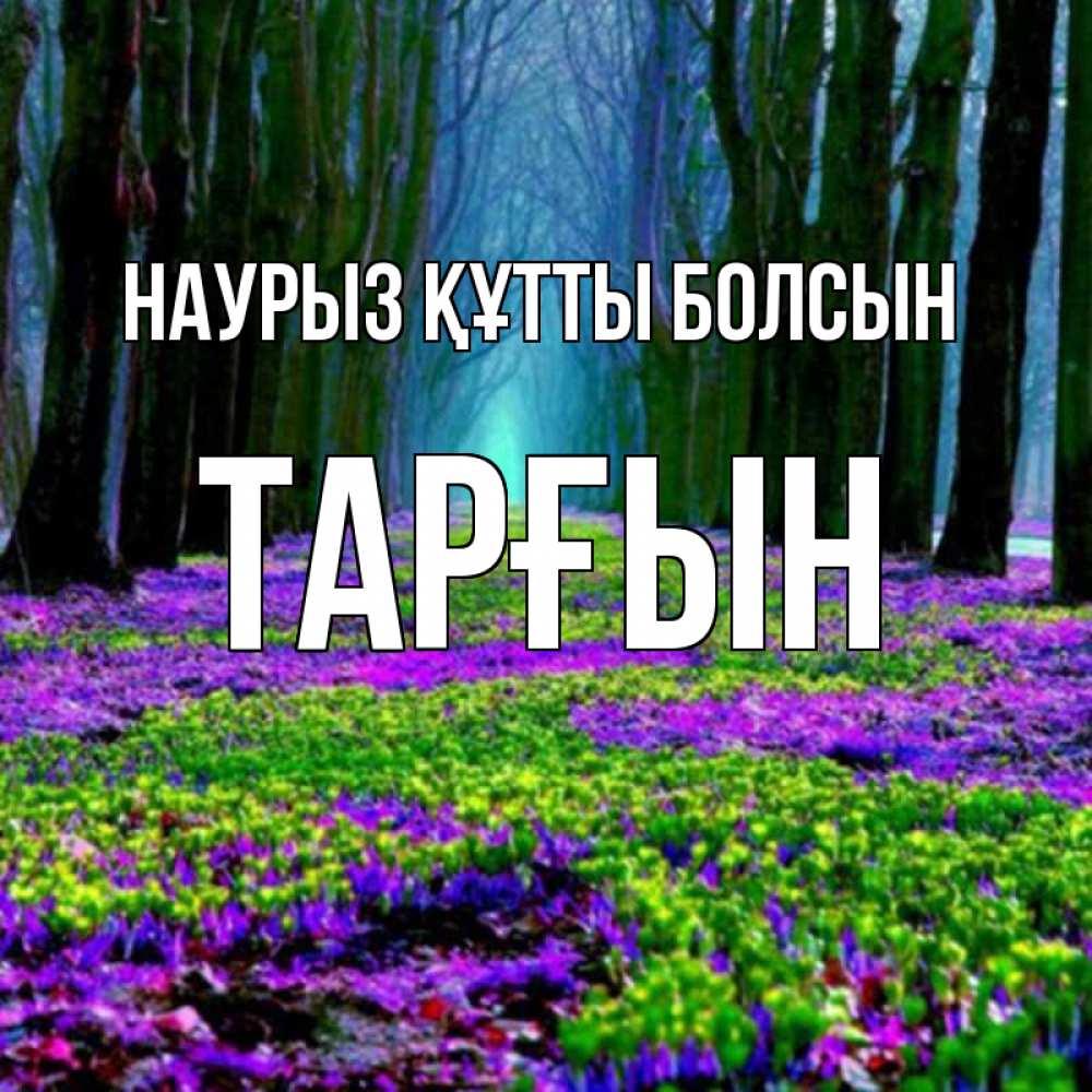 Күн сайын ашық хат с именем, ТАРҒЫН Наурыз құтты болсын фиолетовые цветы в лесу 1 Онлайн тегін жүктеп алу тілектері бар керемет карта 