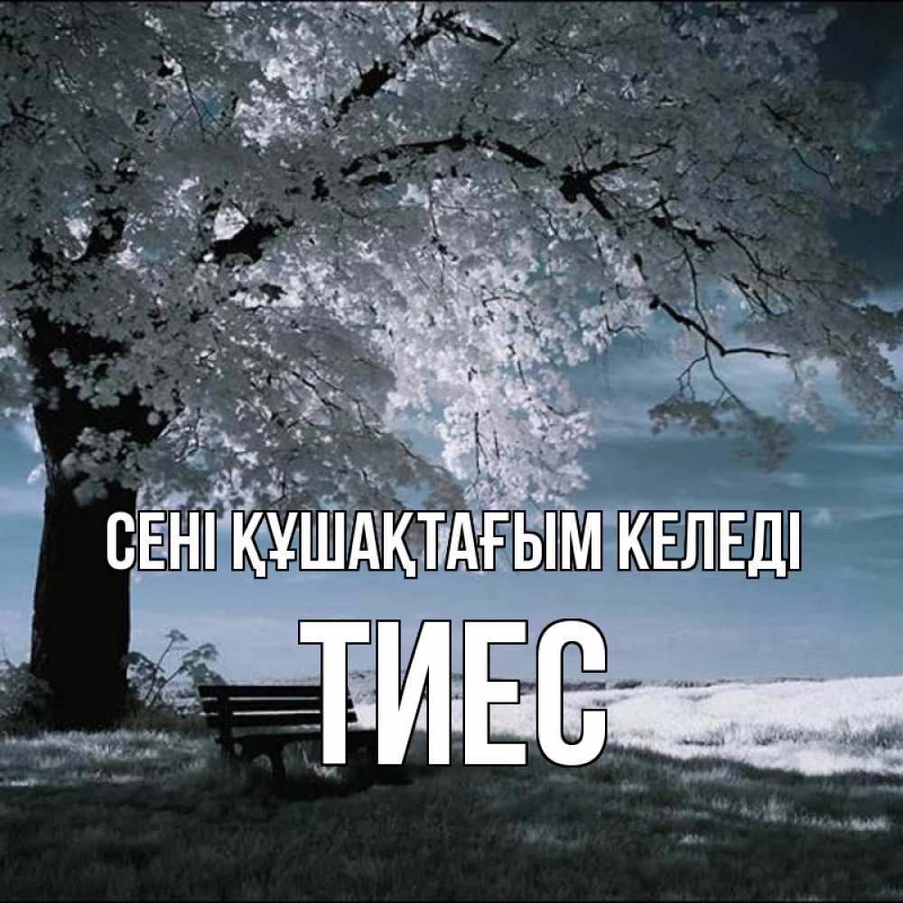 Күн сайын ашық хат с именем, ТИЕС сені құшақтағым келеді дерево Онлайн тегін жүктеп алу тілектері бар керемет карта 