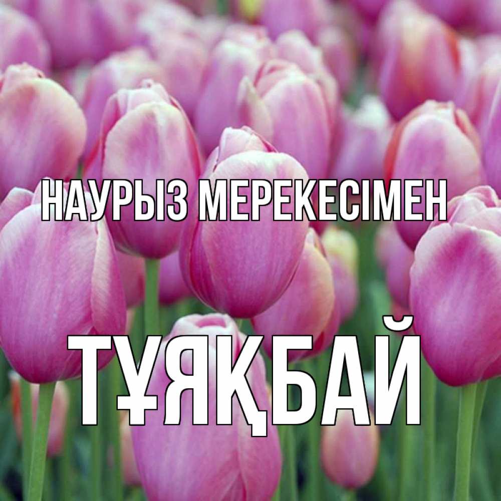 Күн сайын ашық хат с именем, ТҰЯҚБАЙ Наурыз мерекесімен праздник весны наурыз 69 Онлайн тегін жүктеп алу тілектері бар керемет карта 
