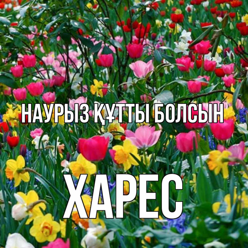 Күн сайын ашық хат с именем, ХАРЕС Наурыз құтты болсын с наурызом поздравления для женщины Онлайн тегін жүктеп алу тілектері бар керемет карта 