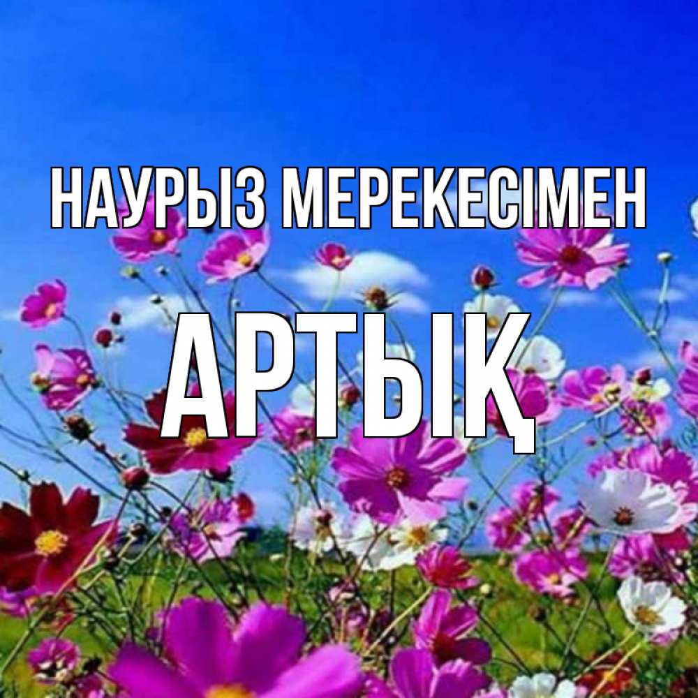 Күн сайын ашық хат с именем, Артық Наурыз мерекесімен цветы Онлайн тегін жүктеп алу тілектері бар керемет карта 