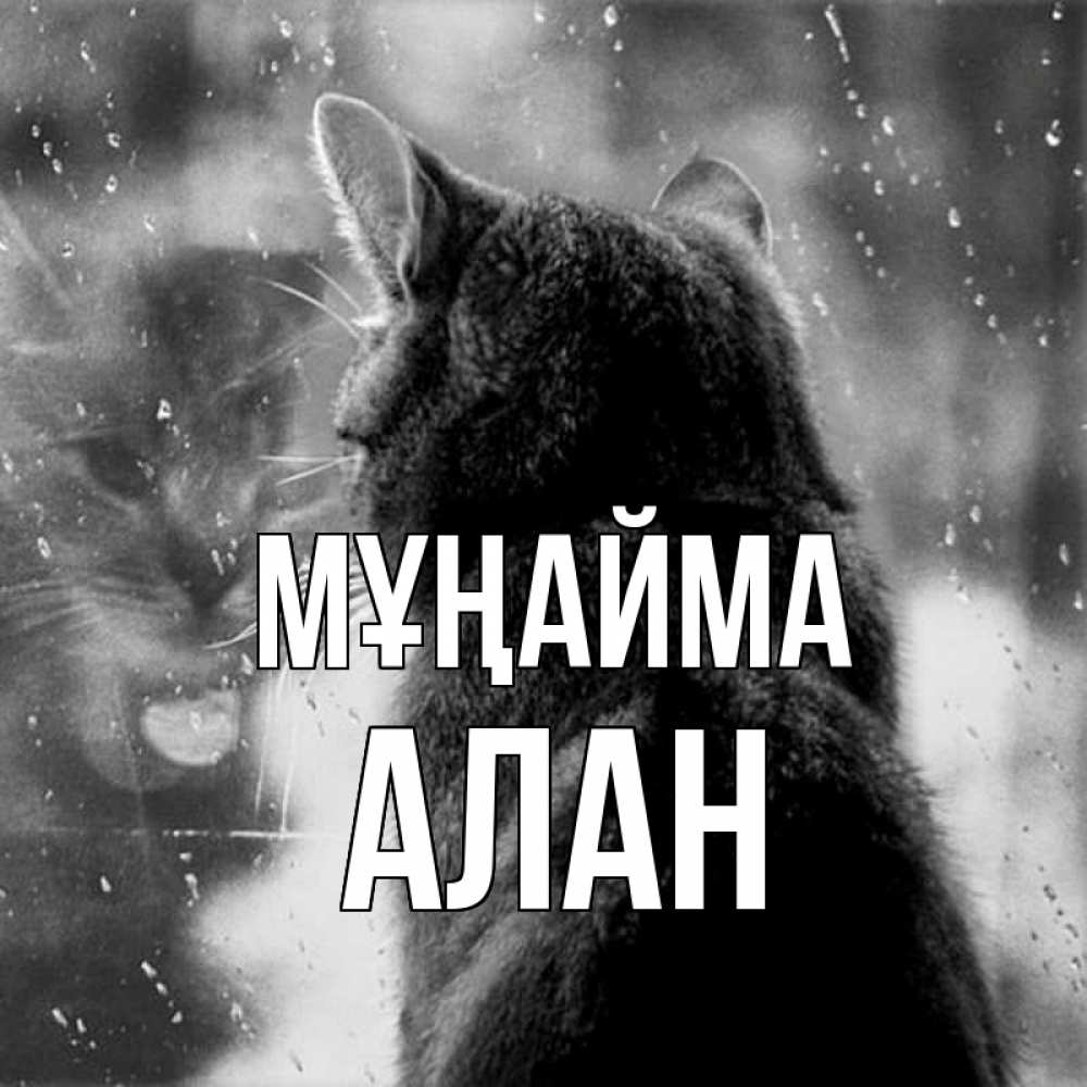Күн сайын ашық хат с именем, Алан Мұңайма отражение кота 1 Онлайн тегін жүктеп алу тілектері бар керемет карта 