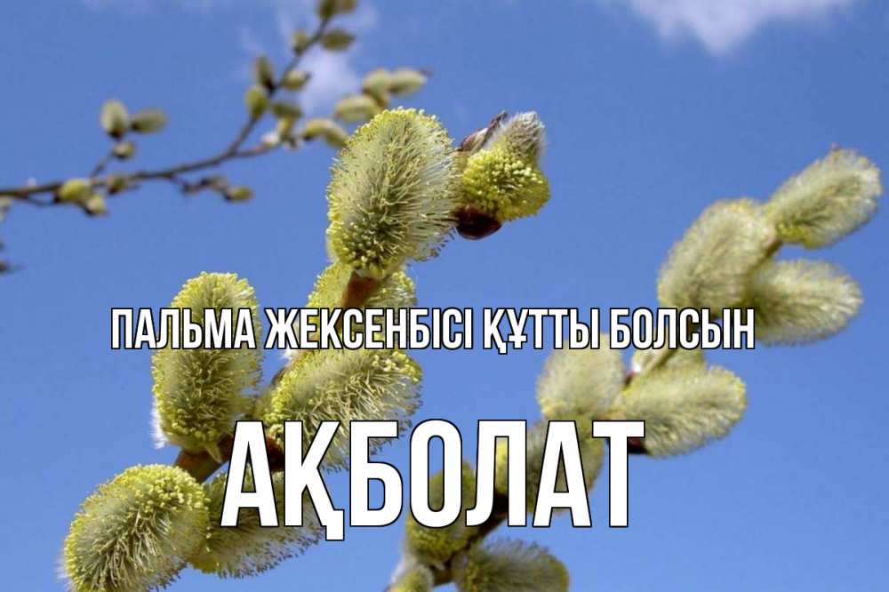 Күн сайын ашық хат с именем, Ақболат Пальма жексенбісі құтты болсын верба Онлайн тегін жүктеп алу тілектері бар керемет карта 
