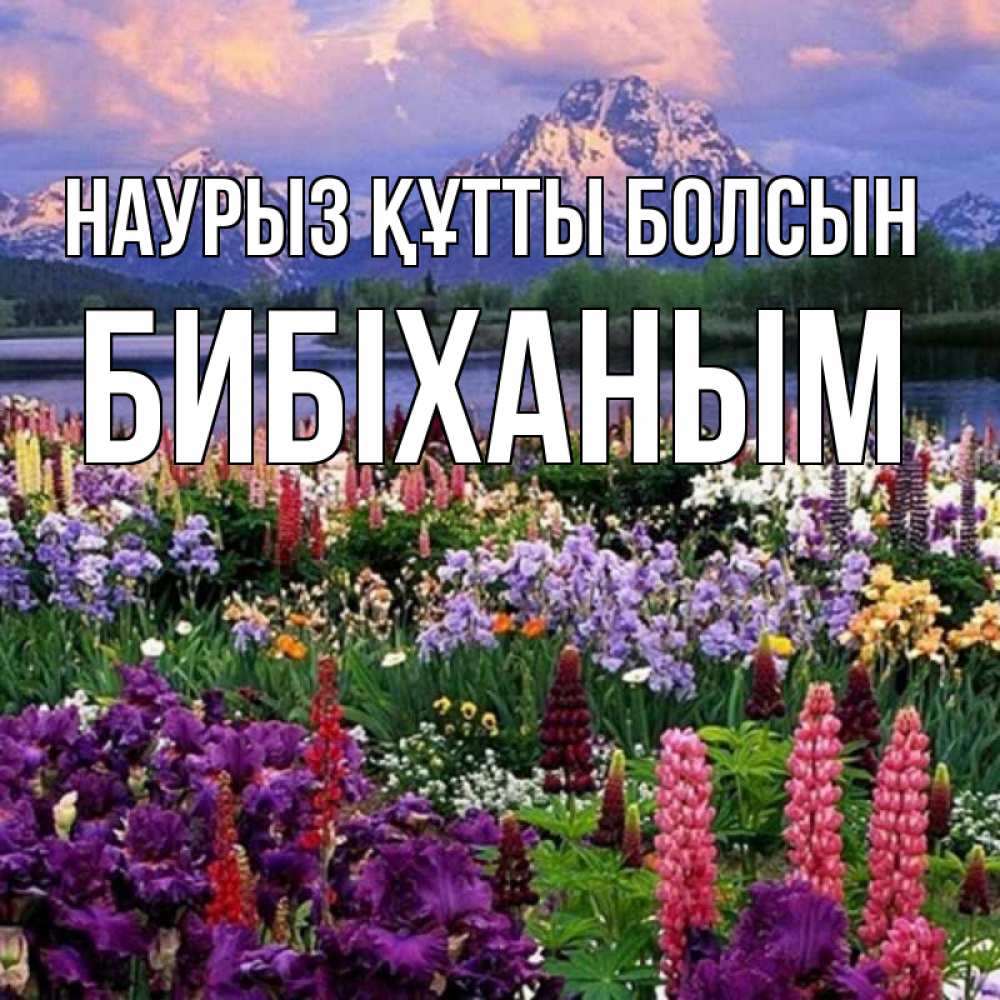 Күн сайын ашық хат с именем, БИБІХАНЫМ Наурыз құтты болсын наурыз Онлайн тегін жүктеп алу тілектері бар керемет карта 
