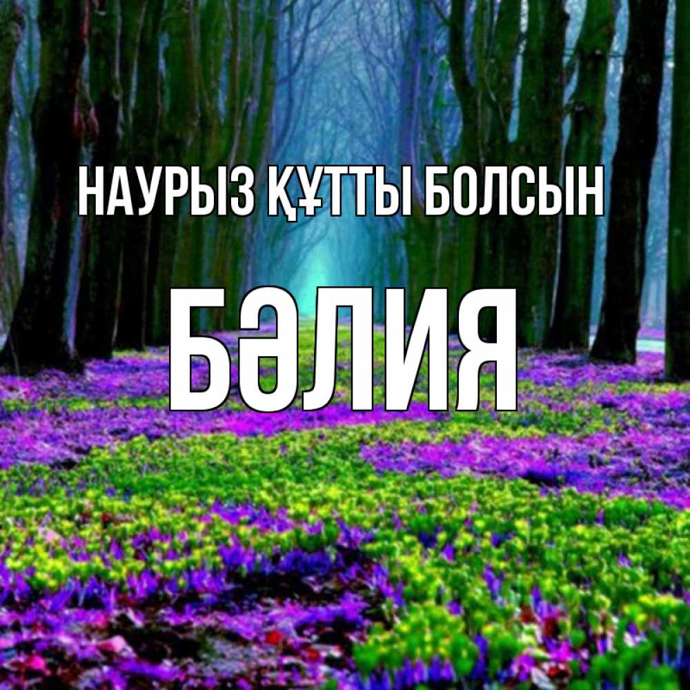 Күн сайын ашық хат с именем, БӘЛИЯ Наурыз құтты болсын фиолетовые цветы в лесу 1 Онлайн тегін жүктеп алу тілектері бар керемет карта 