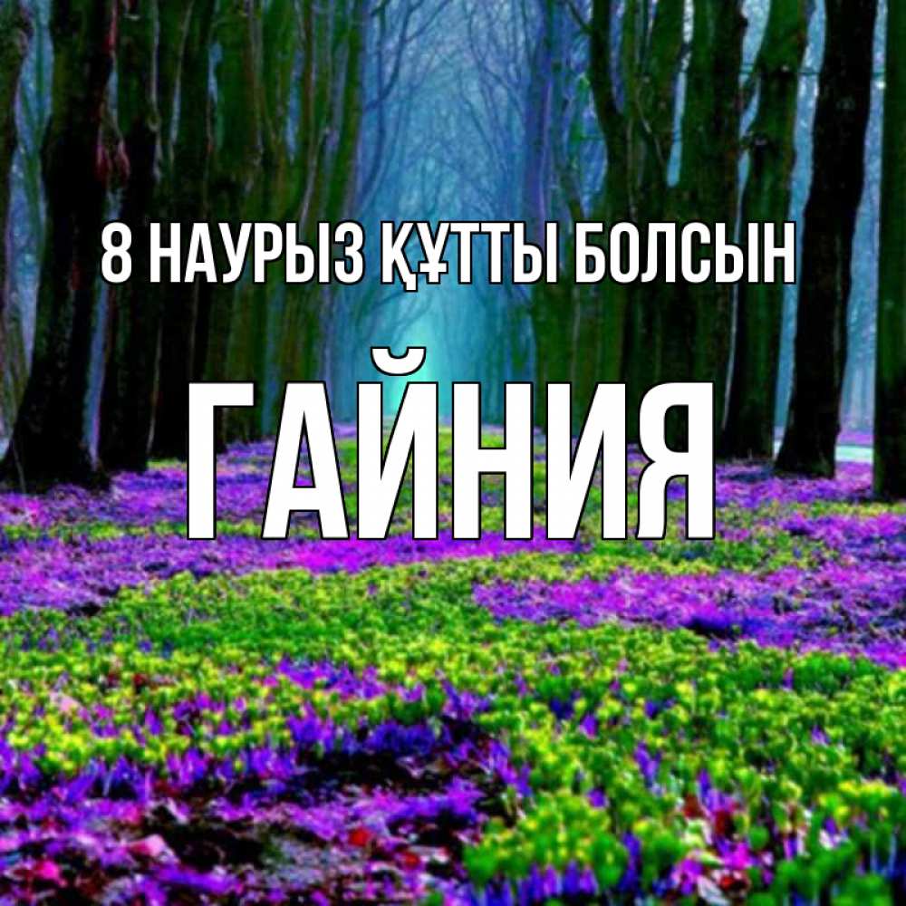 Күн сайын ашық хат с именем, ГАЙНИЯ 8 наурыз құтты болсын фиолетовые цветы в лесу 1 Онлайн тегін жүктеп алу тілектері бар керемет карта 