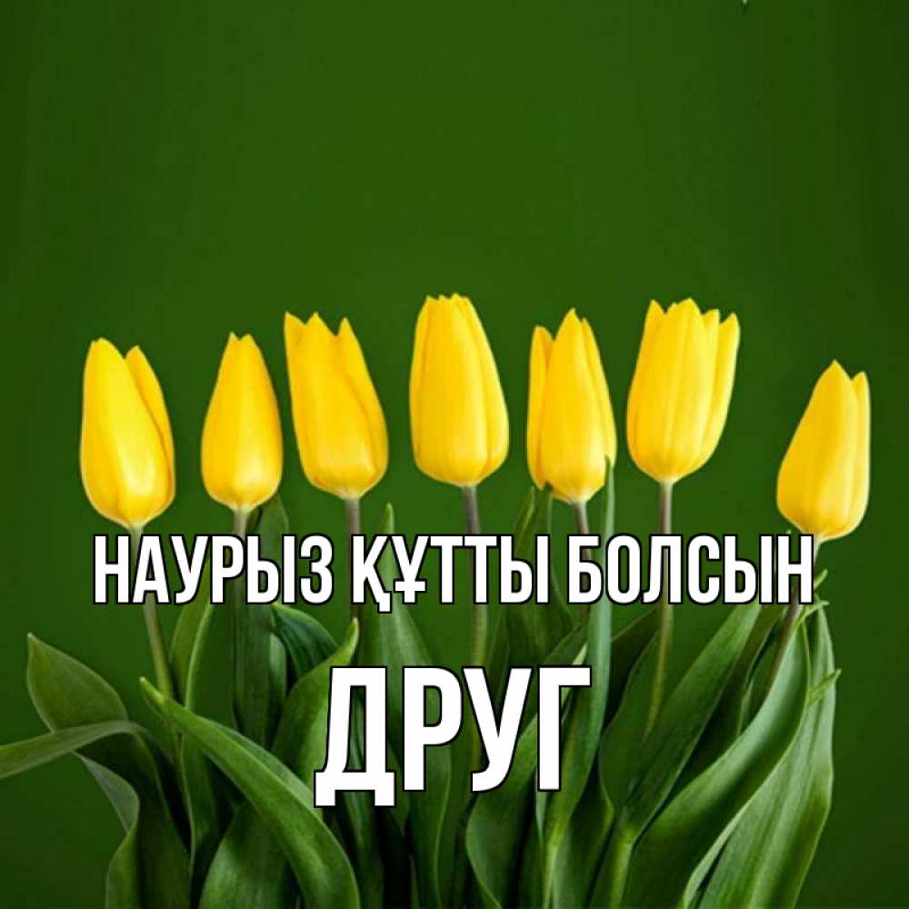 Күн сайын ашық хат с именем, Друг Наурыз құтты болсын желтого цвета 3 Онлайн тегін жүктеп алу тілектері бар керемет карта 