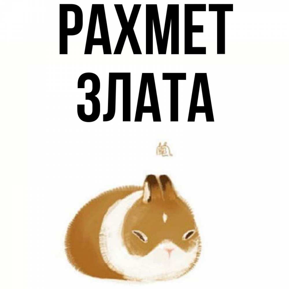 Күн сайын ашық хат с именем, Злата рахмет коричнево белый домашний питомец Онлайн тегін жүктеп алу тілектері бар керемет карта 
