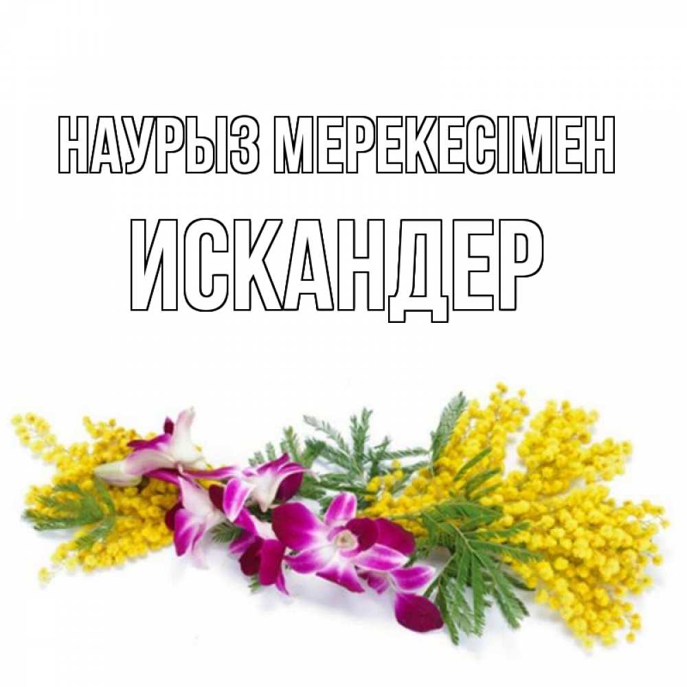 Күн сайын ашық хат с именем, Искандер Наурыз мерекесімен открытка на международный женский день с цветами  1 Онлайн тегін жүктеп алу тілектері бар керемет карта 