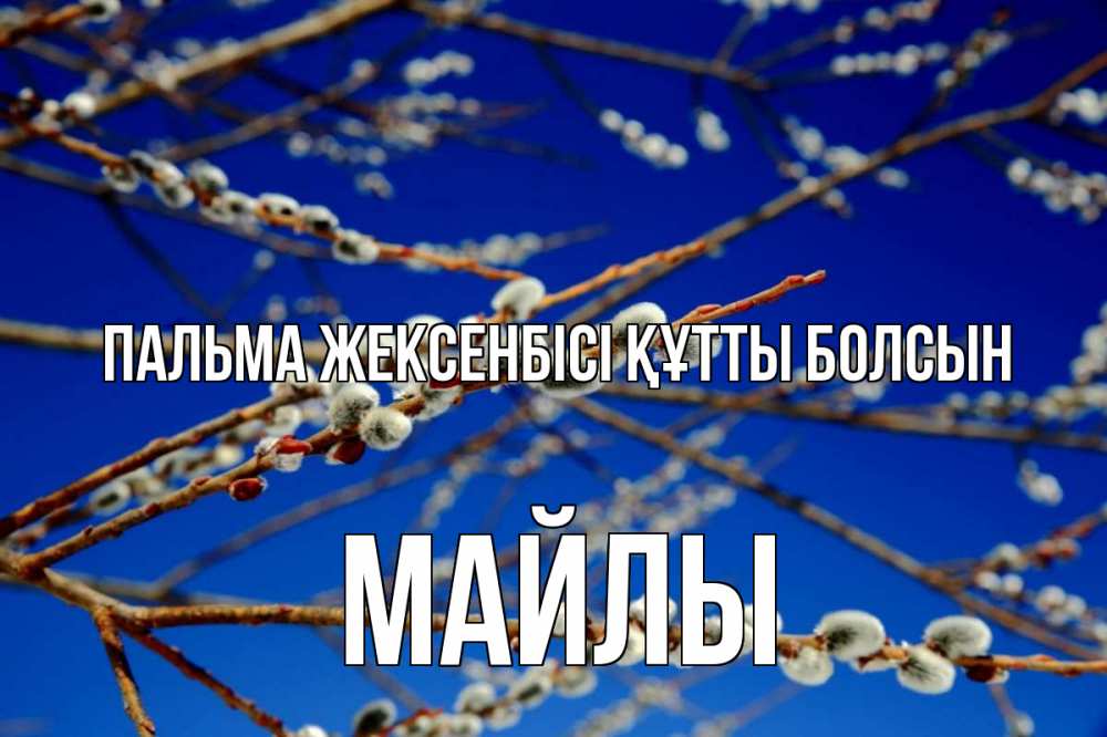 Күн сайын ашық хат с именем, МАЙЛЫ Пальма жексенбісі құтты болсын верба Онлайн тегін жүктеп алу тілектері бар керемет карта 