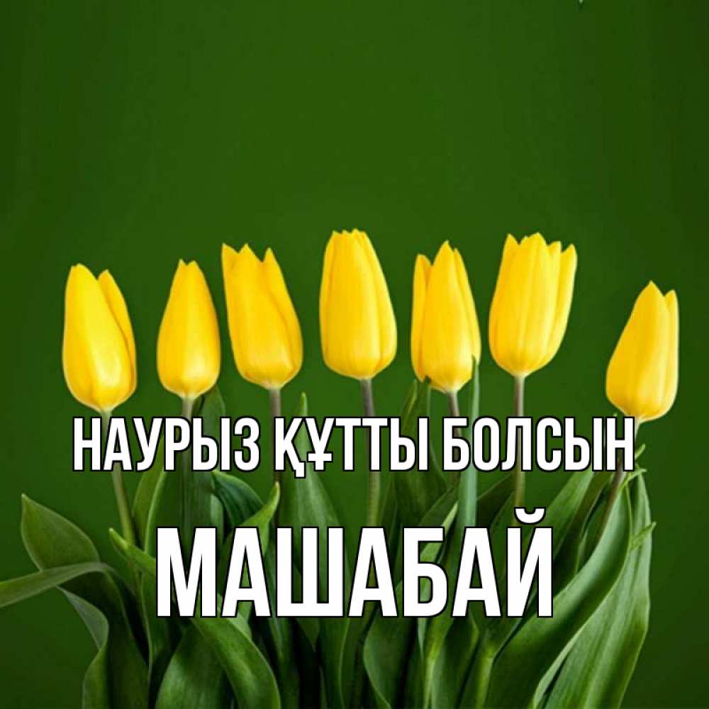 Күн сайын ашық хат с именем, МАШАБАЙ Наурыз құтты болсын желтого цвета 3 Онлайн тегін жүктеп алу тілектері бар керемет карта 