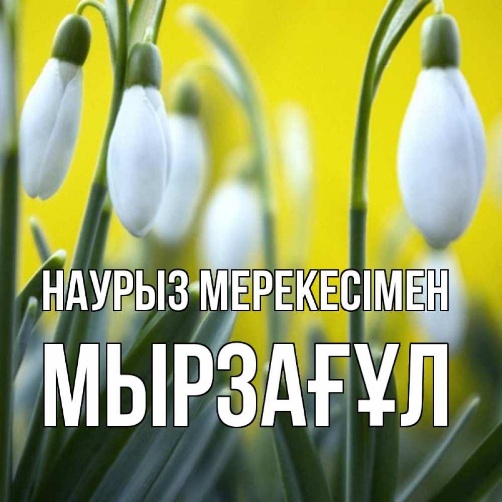 Күн сайын ашық хат с именем, Мырзағұл Наурыз мерекесімен весенние цветы Онлайн тегін жүктеп алу тілектері бар керемет карта 