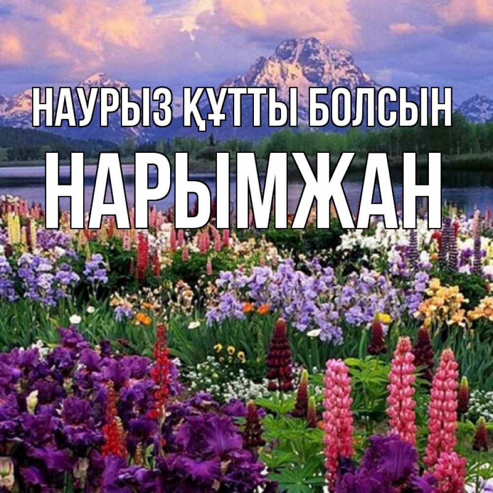 Күн сайын ашық хат с именем, НАРЫМЖАН Наурыз құтты болсын наурыз Онлайн тегін жүктеп алу тілектері бар керемет карта 