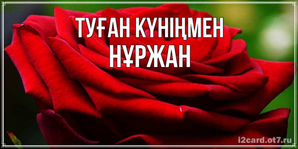 Күн сайын ашық хат с именем, НҰРЖАН Туған күніңмен розочка очень красивая Онлайн тегін жүктеп алу тілектері бар керемет карта 